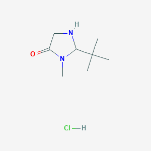 Chemical structure of 2-(tert-Butyl)-3-methylimidazolidin-4-one hydrochloride