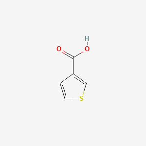 Chemical structure of Thiophene-3-carboxylic acid