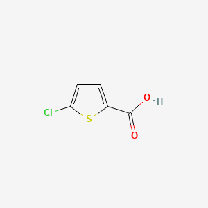 Chemical structure of 5-Chloro-2-thiophenecarboxylic acid