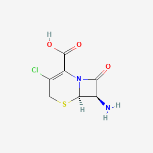 Chemical structure of 7-Amino-3-chloro-3-cephem-4-carboxylic acid
